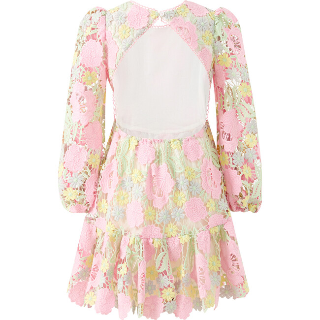 Estella Embroidered Mini Dress, Floral