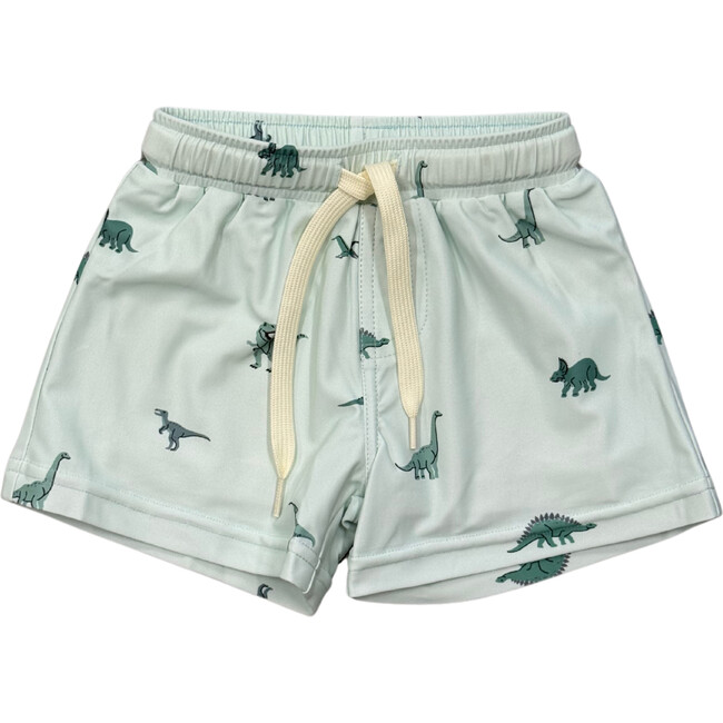 Boy's Swim Shorts Dinosaur