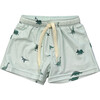 Boy's Swim Shorts Dinosaur - Swim Trunks - 1 - thumbnail