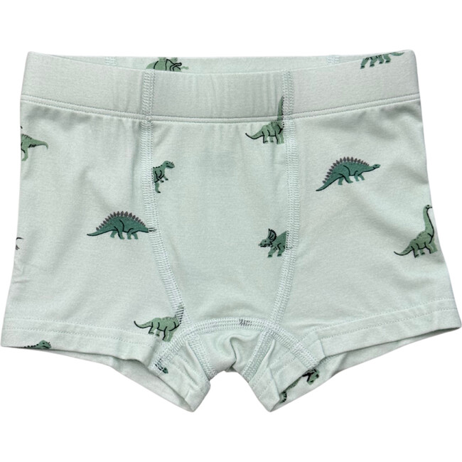 Boy's Boxer Dinosar