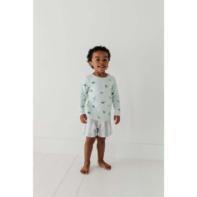 Boy's Swim Shorts Dinosaur