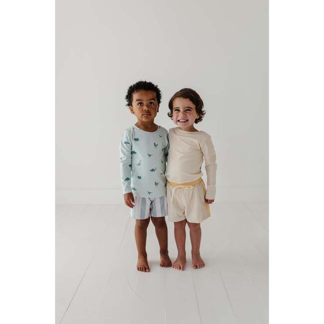 Boy's Swim Shorts Aqua Grey Stripe - Swim Trunks - 9