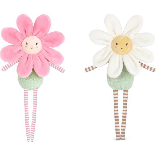 Daisy Flower, Yellow