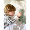 Tiny The Baby T-Rex - Plush - 2