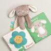 Itzy Learn & Snuggle, Bunny - Mixed Gift Sets - 4 - thumbnail