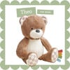 Sweetie Snuggles Theo the Bear - Plush - 1 - thumbnail