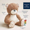 Sweetie Snuggles Theo the Bear - Plush - 2 - thumbnail