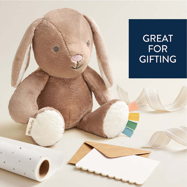 Sweetie Snuggles Billie the Bunny - Plush - 4