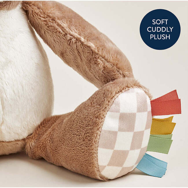 Sweetie Snuggles Theo the Bear - Plush - 3
