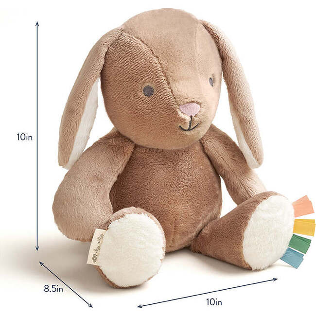 Sweetie Snuggles Billie the Bunny - Plush - 5
