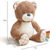 Sweetie Snuggles Theo the Bear - Plush - 5 - thumbnail