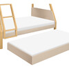 TipToe Twin-Over-Full Bunk Bed in Taupe and Honey - Bunk Beds - 6
