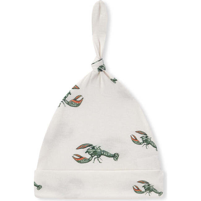 Mint Lobster Luxe Stretch Newborn Gown & Hat Set