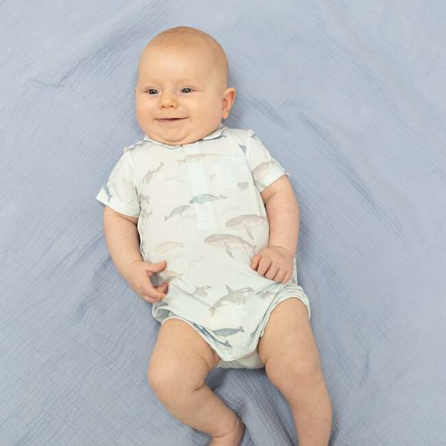 Little Whales, Polo Shortie