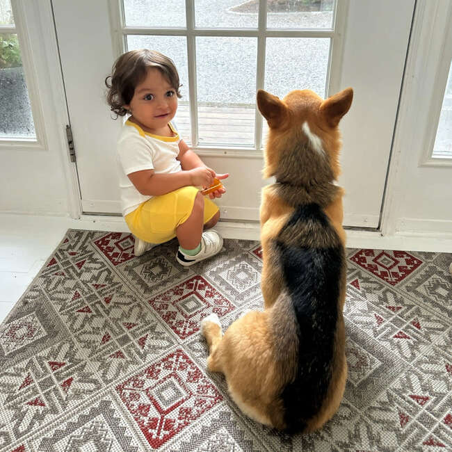 Cotton Shorts, Misted Yellow - Shorts - 4