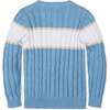 Organic Cable Crewneck Pullover Sweater, Bluebell Stripe - Sweaters - 4