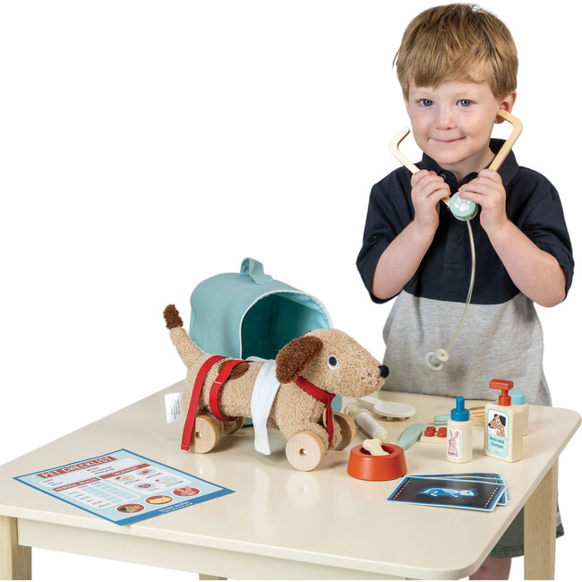 Animal Rescue Vet Case - Role Play Toys - 8