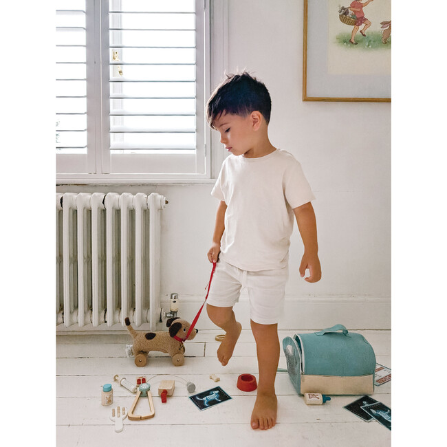 Animal Rescue Vet Case - Role Play Toys - 9