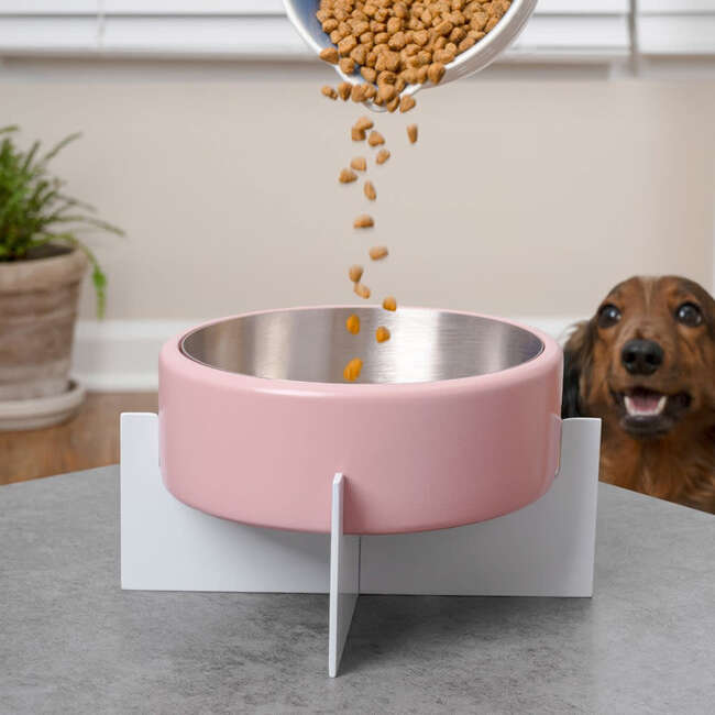 Intersecta Concrete and Stainless Steel Bowl 16oz (2 Cups) with Metal Stand Pet Feeder, Pink/White