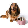 Ripple Ridge Slanted Concrete and Stainless Steel Bowl 16oz (2 Cups) Pet Feeder, Pink - Pet Bowls & Feeders - 3 - thumbnail