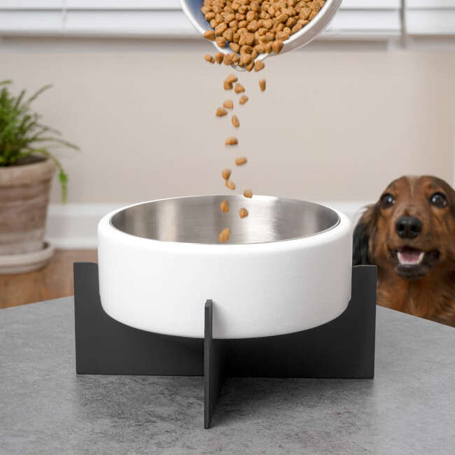 Intersecta Concrete and Stainless Steel Bowl 16oz (2 Cups) with Metal Stand Pet Feeder, White/Black