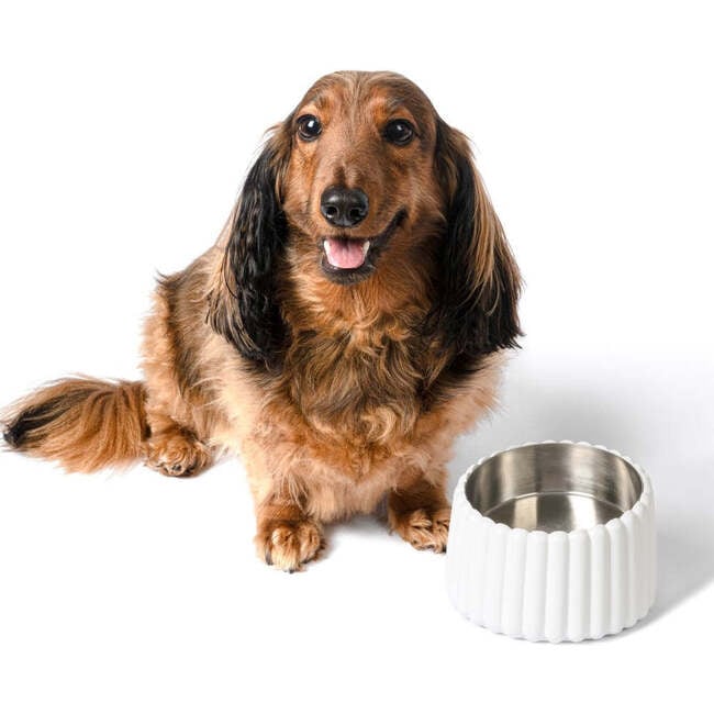 Ripple Ridge Slanted Concrete and Stainless Steel Bowl 16oz (2 Cups) Pet Feeder, White - Pet Bowls & Feeders - 3