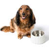 Ripple Ridge Slanted Concrete and Stainless Steel Bowl 16oz (2 Cups) Pet Feeder, White - Pet Bowls & Feeders - 3 - thumbnail