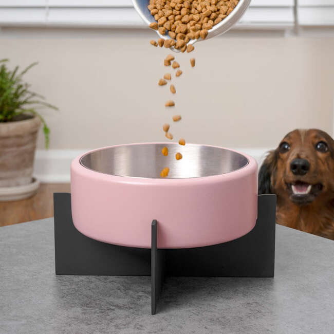 Intersecta Concrete and Stainless Steel Bowl 16oz (2 Cups) with Metal Stand Pet Feeder, Pink/Black