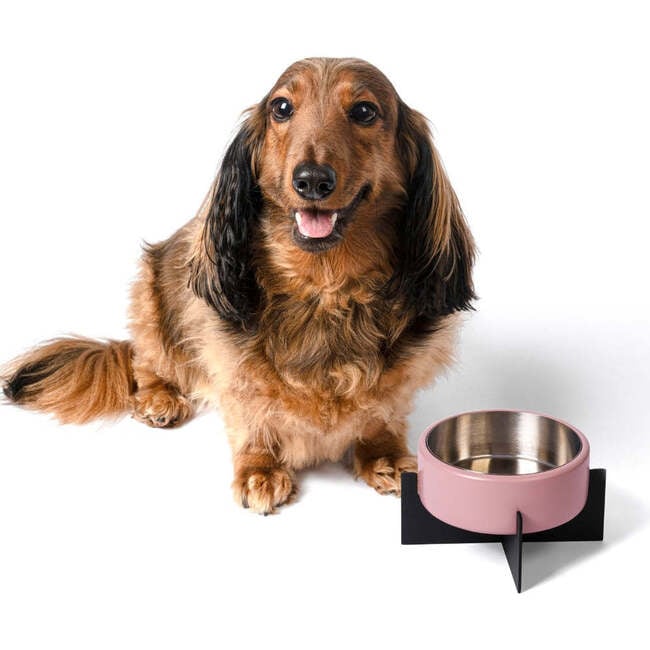 Intersecta Concrete and Stainless Steel Bowl 16oz (2 Cups) with Metal Stand Pet Feeder, Pink/Black - Pet Bowls & Feeders - 3