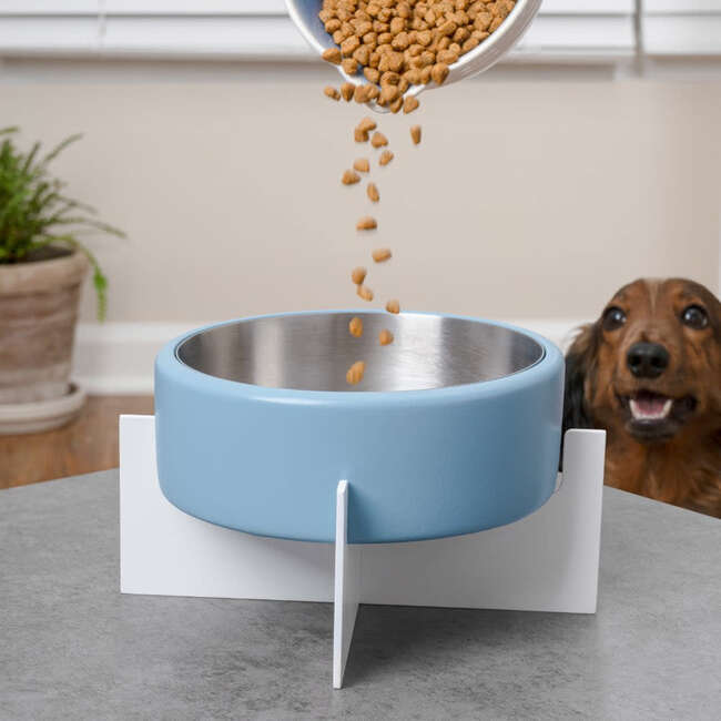 Intersecta Concrete and Stainless Steel Bowl 16oz (2 Cups) with Metal Stand Pet Feeder, Blue/White