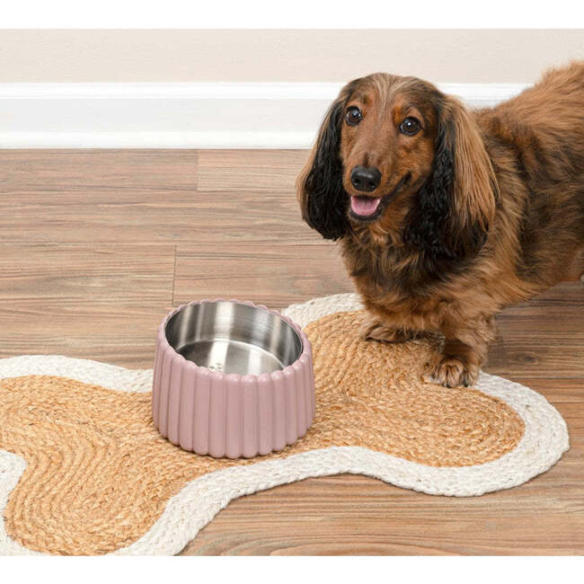 Ripple Ridge Slanted Concrete and Stainless Steel Bowl 16oz (2 Cups) Pet Feeder, Pink - Pet Bowls & Feeders - 7