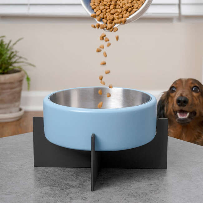 Intersecta Concrete and Stainless Steel Bowl 16oz (2 Cups) with Metal Stand Pet Feeder, Blue/Black
