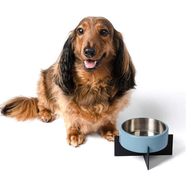Intersecta Concrete and Stainless Steel Bowl 16oz (2 Cups) with Metal Stand Pet Feeder, Blue/Black - Pet Bowls & Feeders - 3