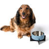 Intersecta Concrete and Stainless Steel Bowl 16oz (2 Cups) with Metal Stand Pet Feeder, Blue/Black - Pet Bowls & Feeders - 3 - thumbnail