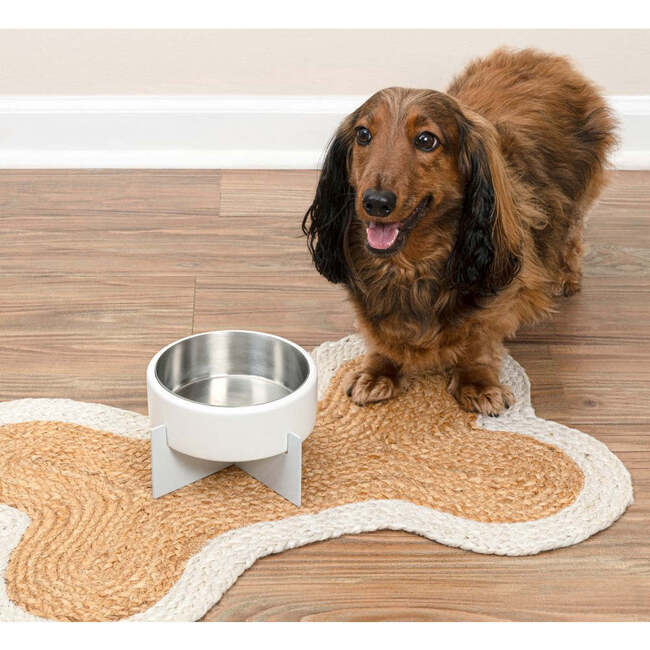 Intersecta Concrete and Stainless Steel Bowl 16oz (2 Cups) with Metal Stand Pet Feeder, White - Pet Bowls & Feeders - 7