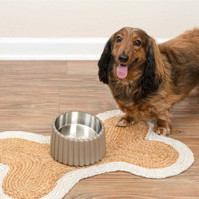 Ripple Ridge Slanted Concrete and Stainless Steel Bowl 16oz (2 Cups) Pet Feeder, Brown - Pet Bowls & Feeders - 7