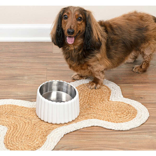 Ripple Ridge Slanted Concrete and Stainless Steel Bowl 16oz (2 Cups) Pet Feeder, White - Pet Bowls & Feeders - 7