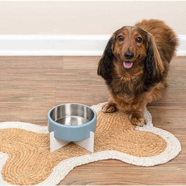 Intersecta Concrete and Stainless Steel Bowl 16oz (2 Cups) with Metal Stand Pet Feeder, Blue/White - Pet Bowls & Feeders - 7