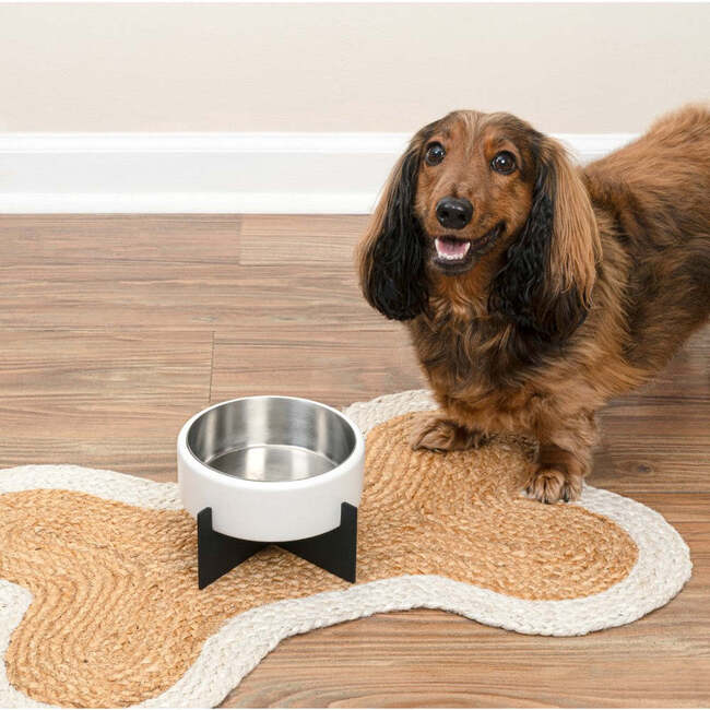 Intersecta Concrete and Stainless Steel Bowl 16oz (2 Cups) with Metal Stand Pet Feeder, White/Black - Pet Bowls & Feeders - 7