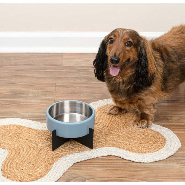 Intersecta Concrete and Stainless Steel Bowl 16oz (2 Cups) with Metal Stand Pet Feeder, Blue/Black - Pet Bowls & Feeders - 7