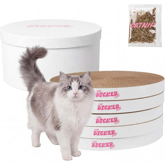 Kate 12" Modern Patterned Cardboard Reversible Cat Scratcher Pad In Box with Catnip, Plain White (5-Pack)