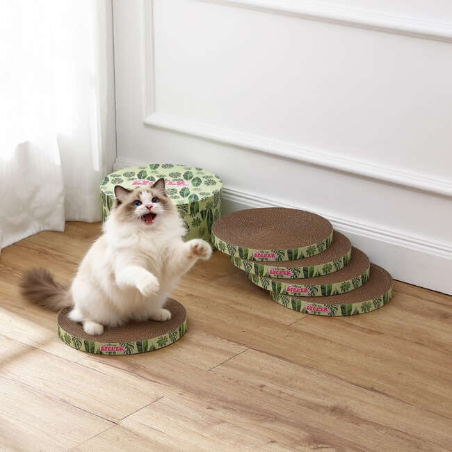 Kate 12" Modern Patterned Cardboard Reversible Cat Scratcher Pad In Box with Catnip, Leaf Mint/Green (5-Pack)