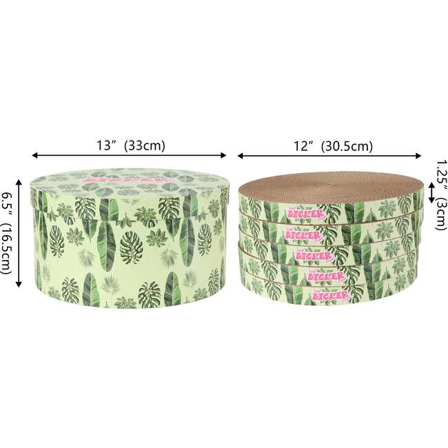 Kate 12" Modern Patterned Cardboard Reversible Cat Scratcher Pad In Box with Catnip, Leaf Mint/Green (5-Pack) - Pet Accessories - 5