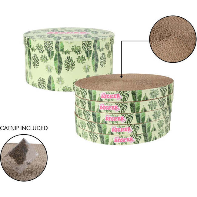 Kate 12" Modern Patterned Cardboard Reversible Cat Scratcher Pad In Box with Catnip, Leaf Mint/Green (5-Pack) - Pet Accessories - 6