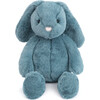 BLUE BUNNY - Plush - 1 - thumbnail
