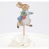Peter Rabbit & Friends Party Picks - Party - 3 - thumbnail