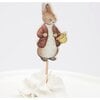 Peter Rabbit & Friends Party Picks - Party - 6 - thumbnail