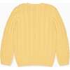Lemon Emerson Cotton Boy Jumper - Sweaters - 3