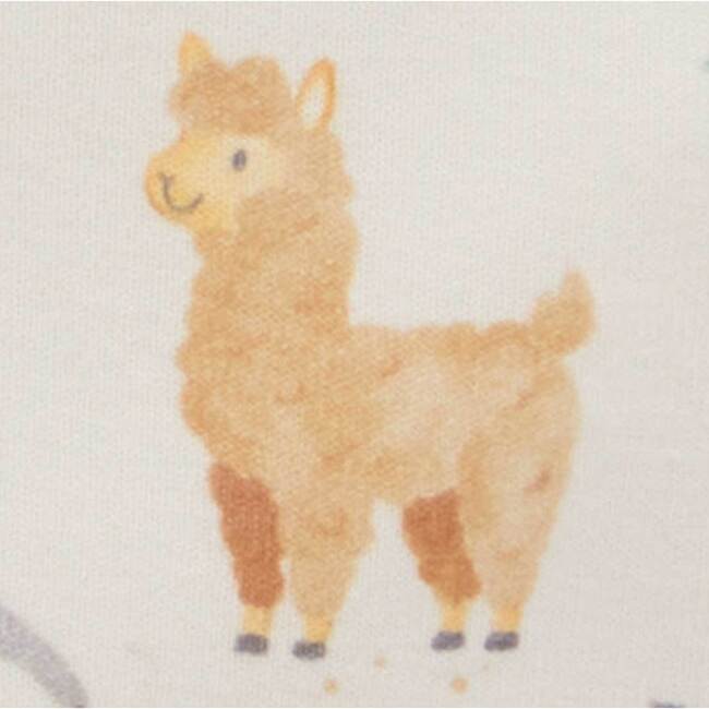 2 Pack Short Sleeve Zip Romper Fiesta Heads Print - Rompers - 7