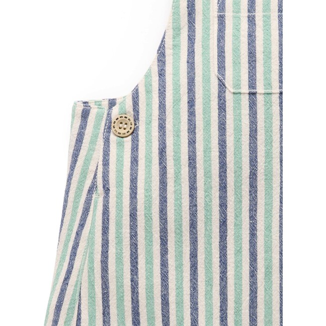 Striped Overalls Iguana Stripe